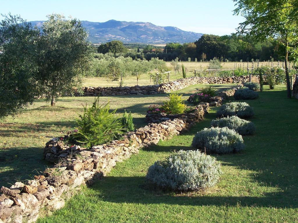 Agriturismo Il Grillo Parlante Pitigliano Exterior foto