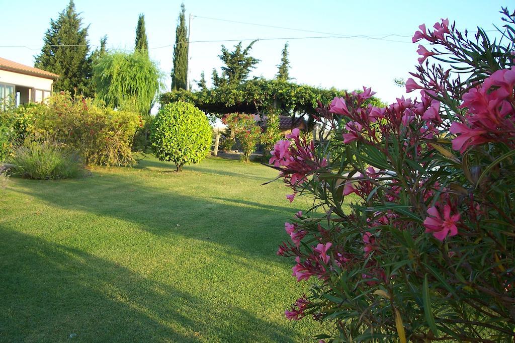 Agriturismo Il Grillo Parlante Pitigliano Exterior foto