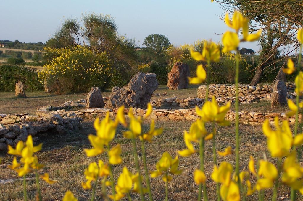 Agriturismo Il Grillo Parlante Pitigliano Exterior foto