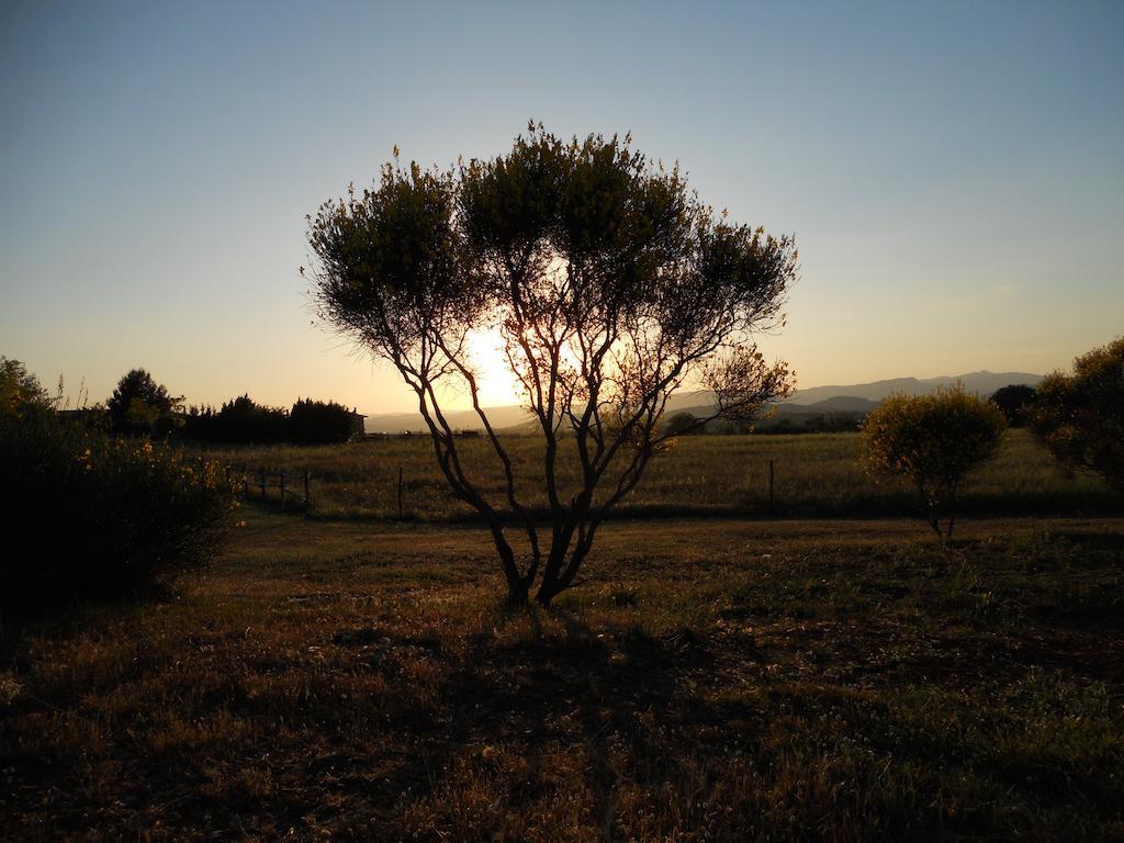 Agriturismo Il Grillo Parlante Pitigliano Exterior foto