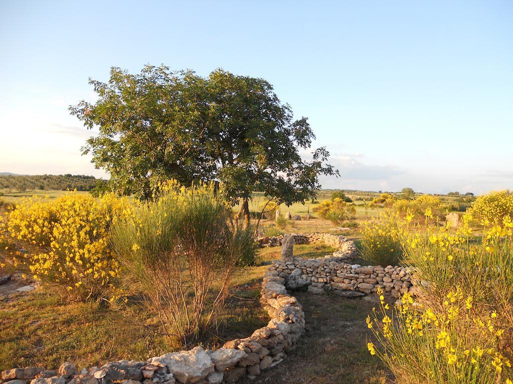 Agriturismo Il Grillo Parlante Pitigliano Exterior foto