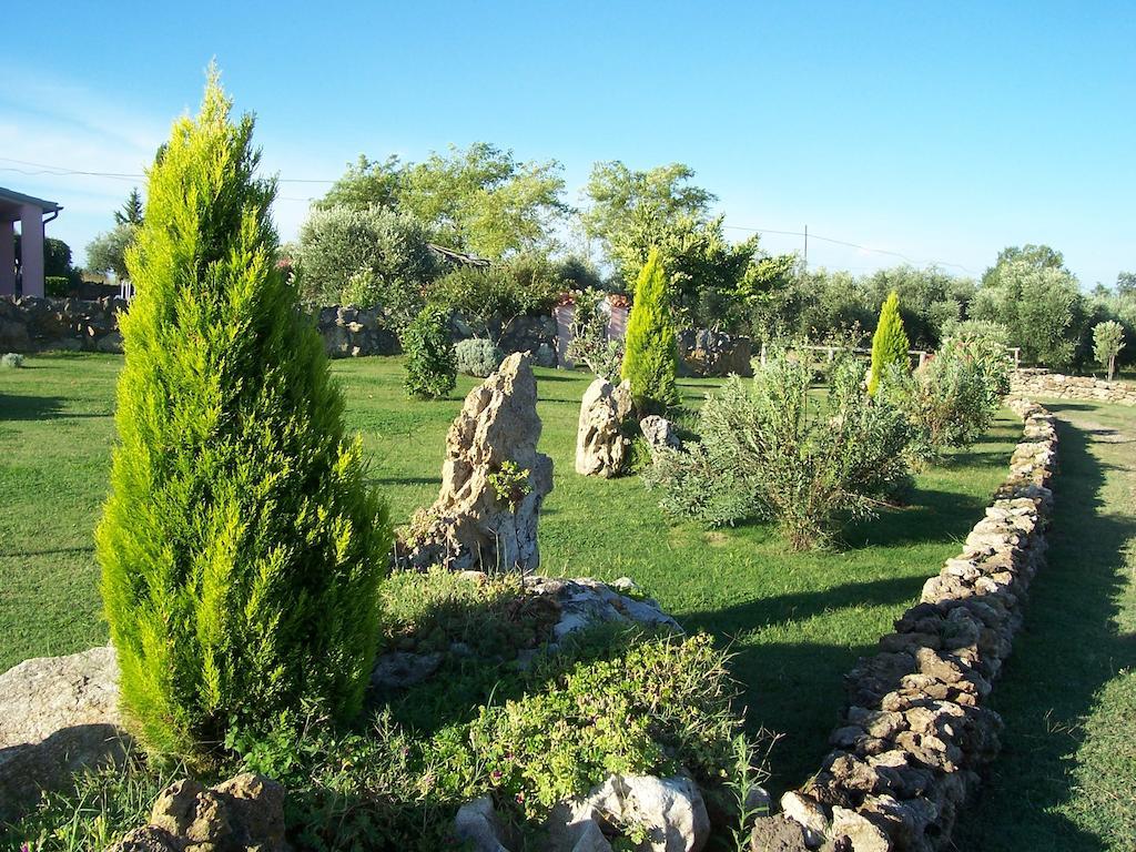 Agriturismo Il Grillo Parlante Pitigliano Exterior foto